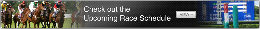 Check Out our Racing Schedule!